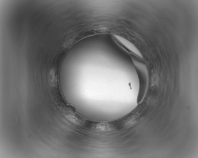 X0000073420420200608111356