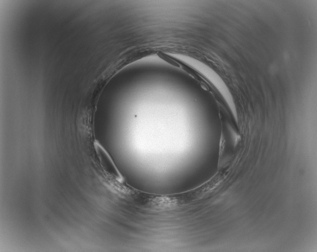 X0000073420421200608111356