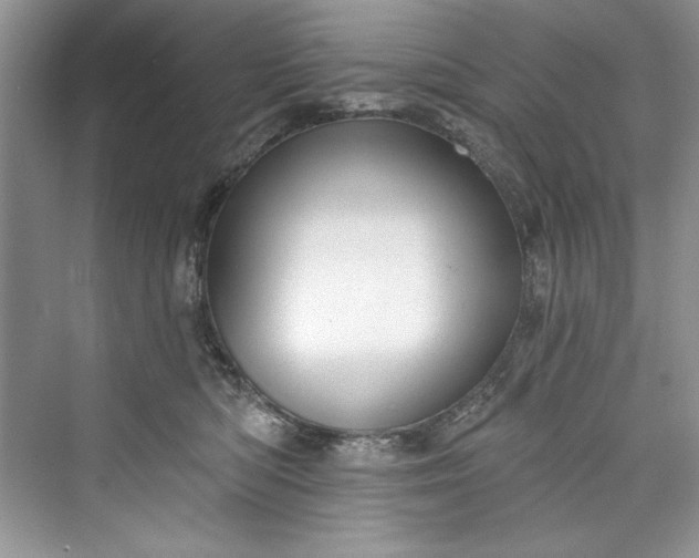 X0000073420422200608111356