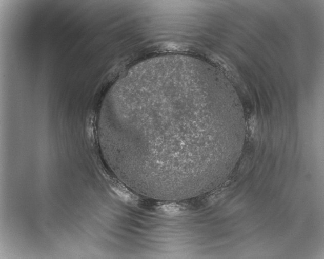 X0000073420423200608111356