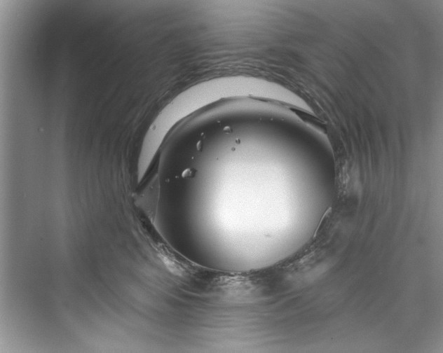 X0000073420424200608111356