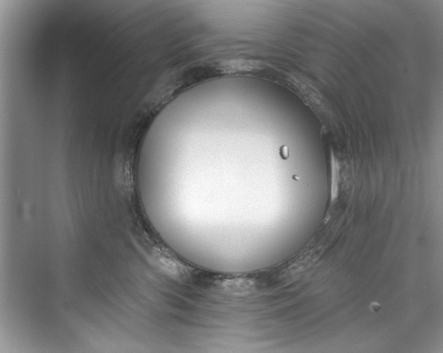 X0000073420426200608111356