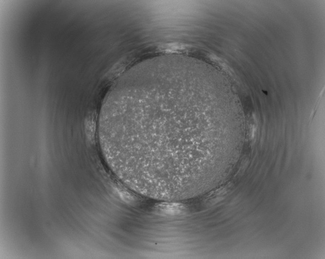 X0000073420427200608111356