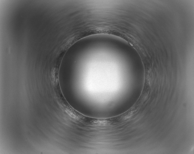 X0000073420428200608111356