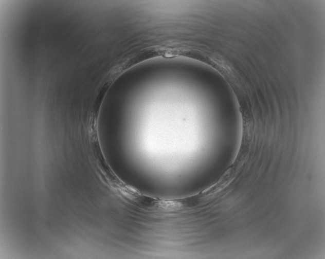 X0000073420429200608111356