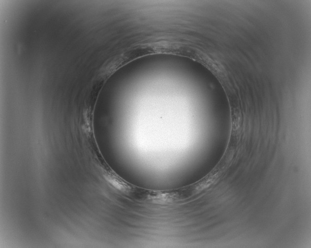 X0000073420430200608111356