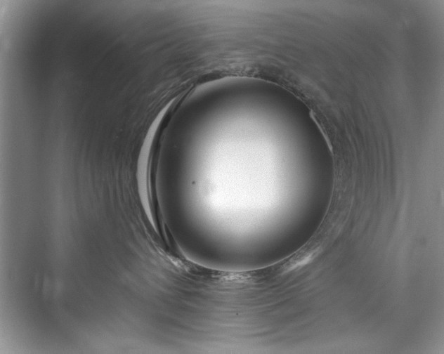 X0000073420432200608111356