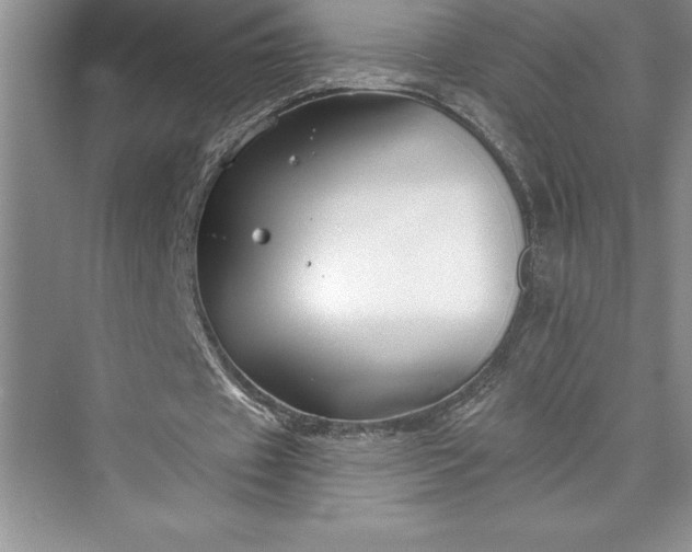 X0000073420433200608111355