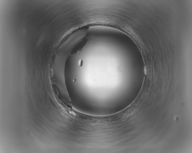 X0000073420434200608111355