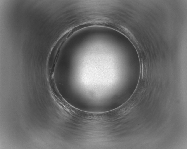 X0000073420435200608111355