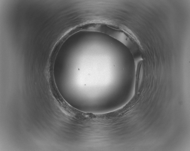 X0000073420436200608111355