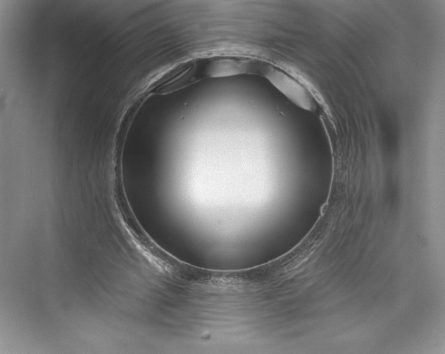 X0000073420437200608111355