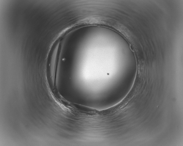 X0000073420438200608111355