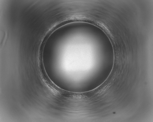 X0000073420439200608111355