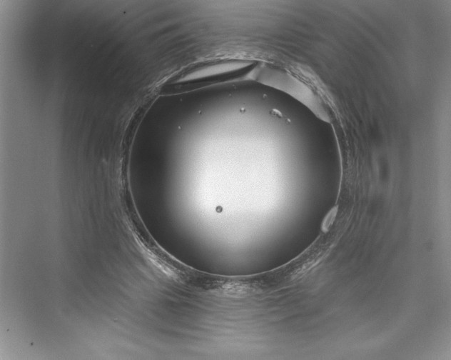 X0000073420441200608111355