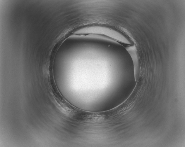 X0000073420443200608111355