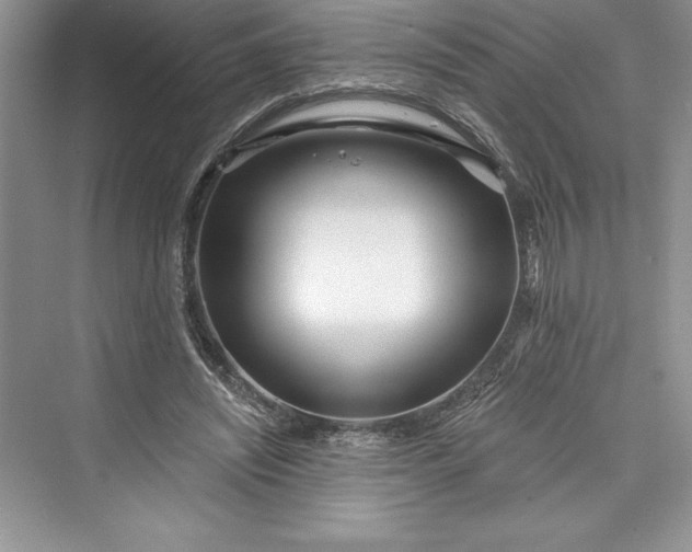 X0000073420444200608111355