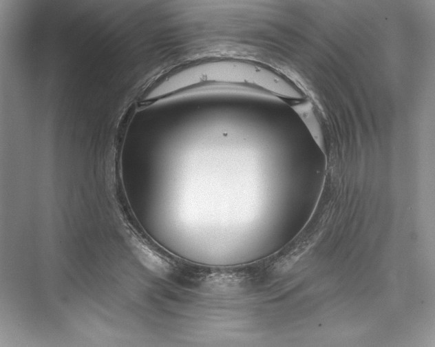 X0000073420445200608111355