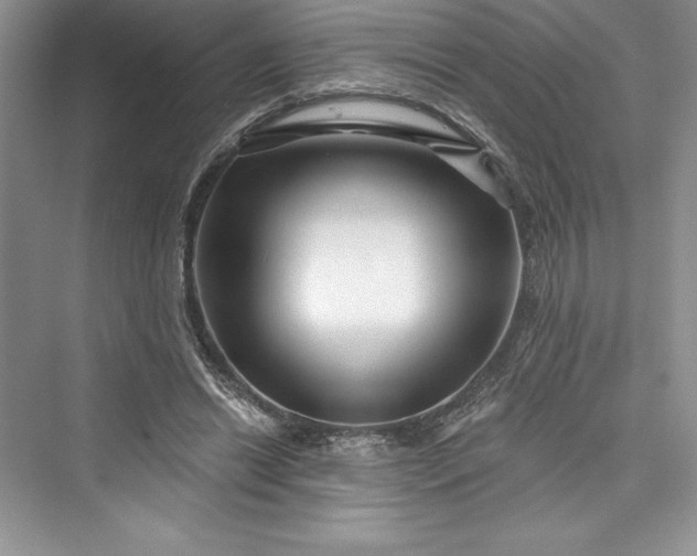 X0000073420446200608111355