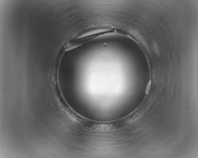 X0000073420449200608111355