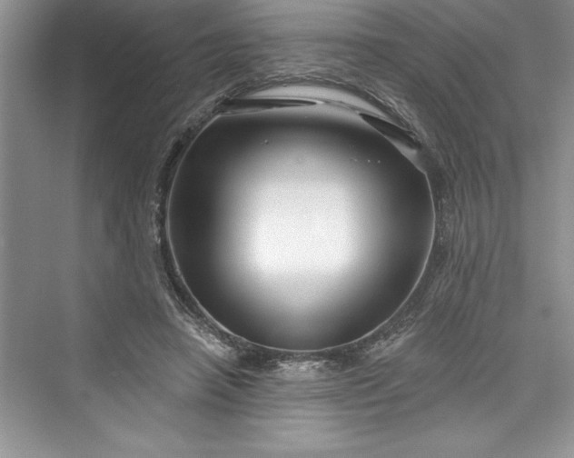 X0000073420450200608111355