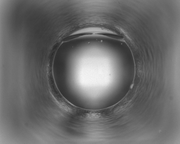 X0000073420451200608111355