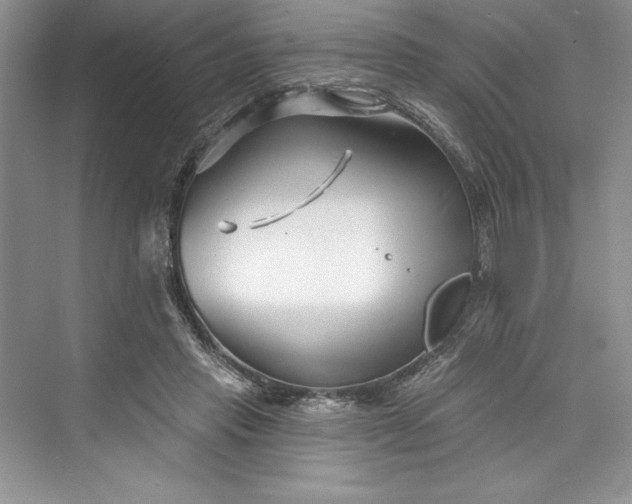 X0000073420453200608111355