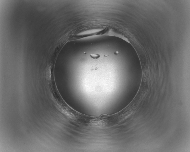 X0000073420454200608111355