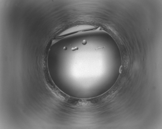 X0000073420455200608111355