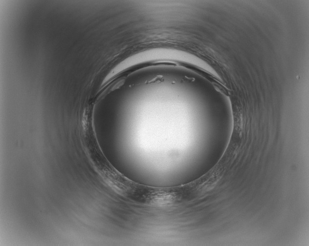 X0000073420456200608111355