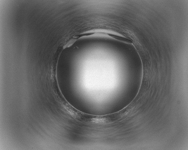 X0000073420457200608111355