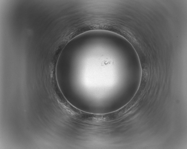 X0000073420458200608111355