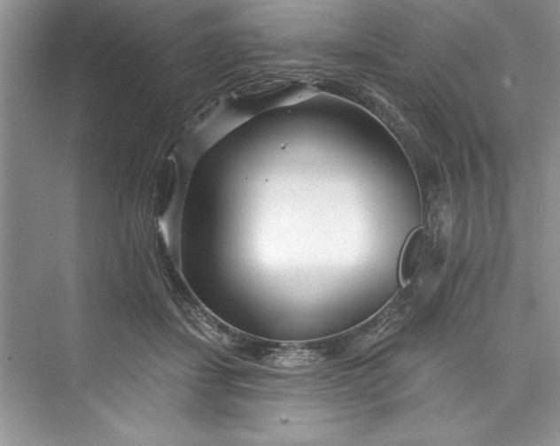 X0000073420459200608111355