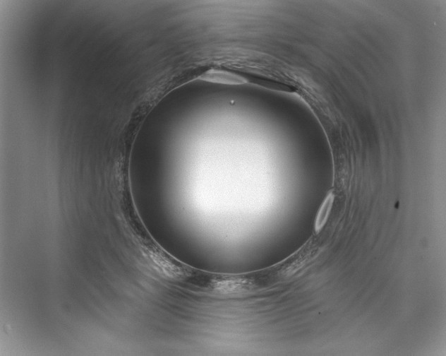 X0000073420461200608111355