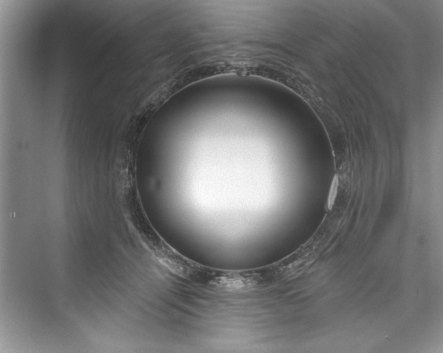 X0000073420464200608111355