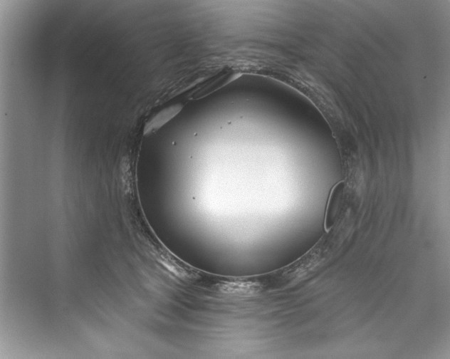 X0000073420465200608111355