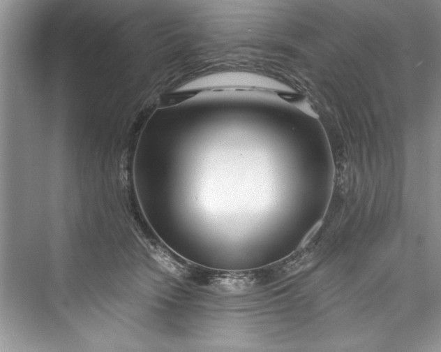 X0000073420466200608111355