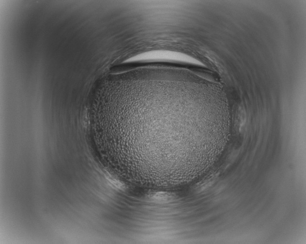 X0000073420467200608111355