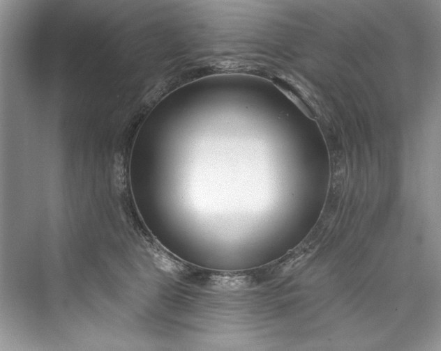 X0000073420469200608111355