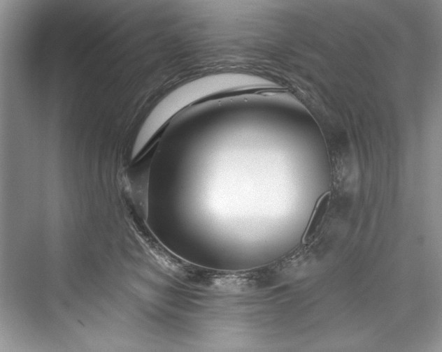 X0000073420470200608111355