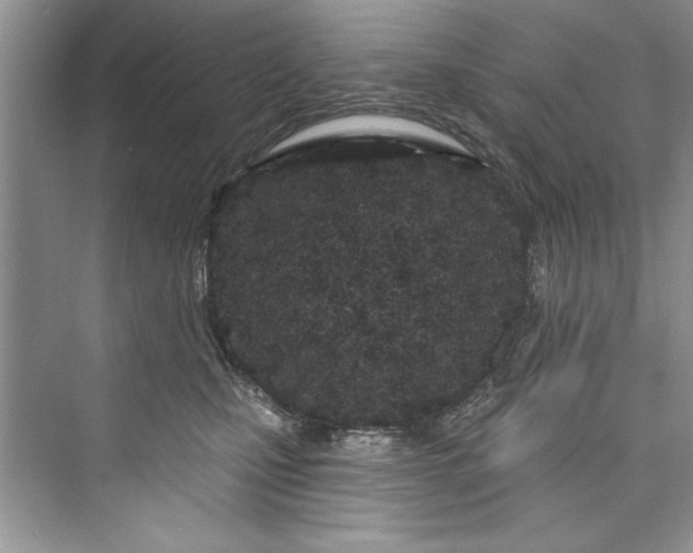 X0000073420471200608111355