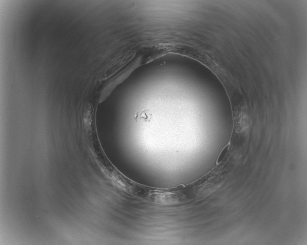 X0000073420472200608111355