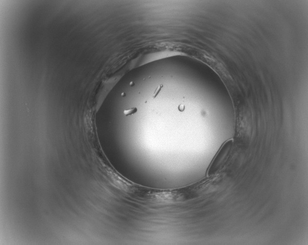 X0000073420473200608111355