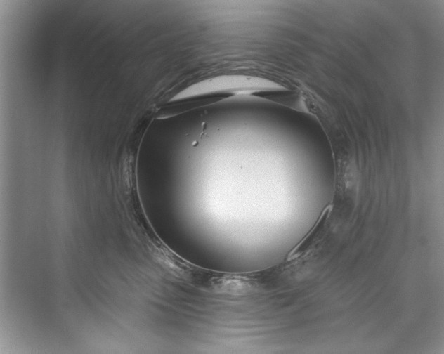 X0000073420475200608111356