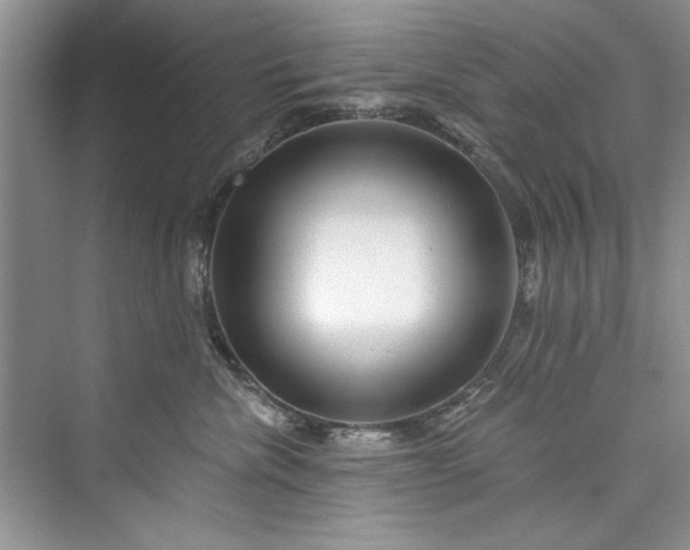 X0000073420476200608111356