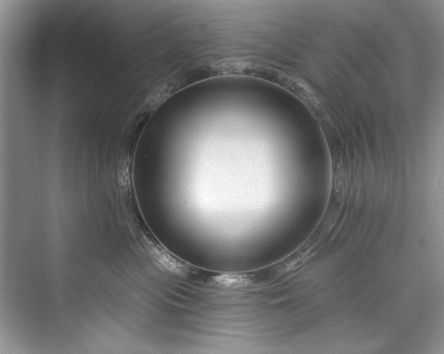 X0000073420477200608111356