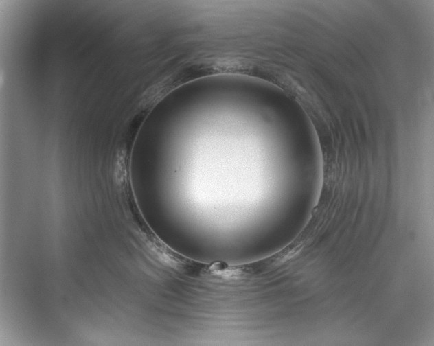 X0000073420478200608111356