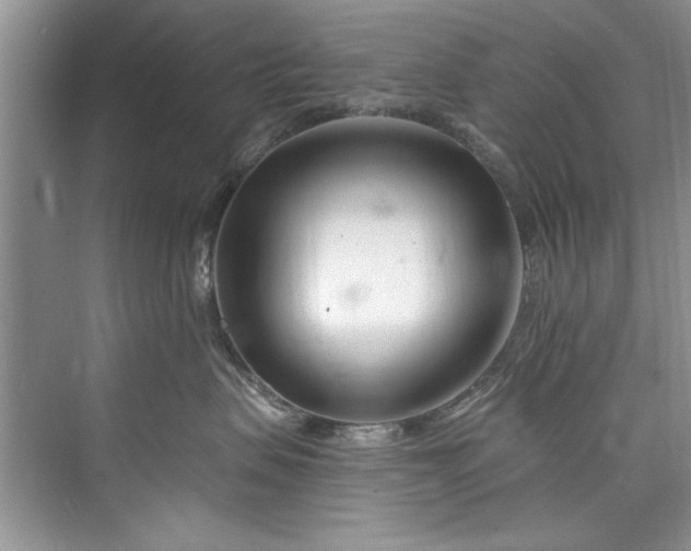 X0000073420479200608111356