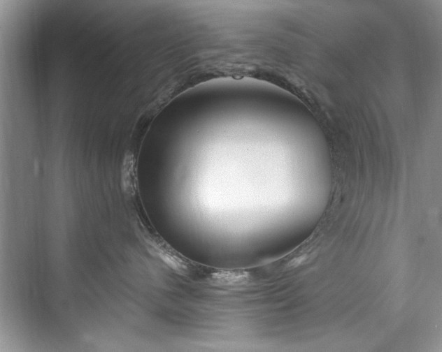 X0000073420480200608111356