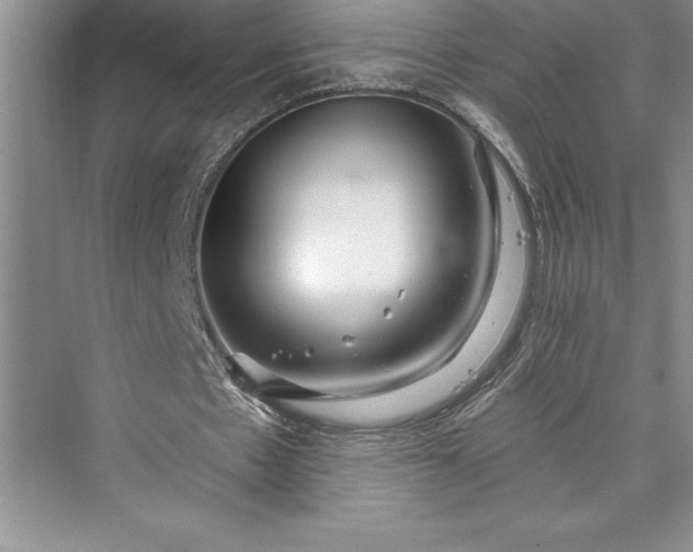 X0000073420481200608111355